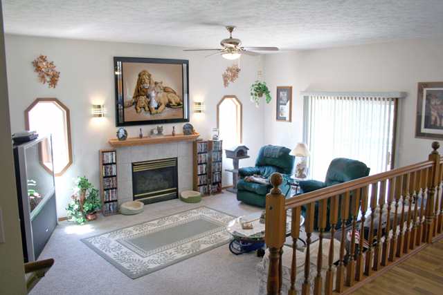24123 N Park View Ln - Photo 5