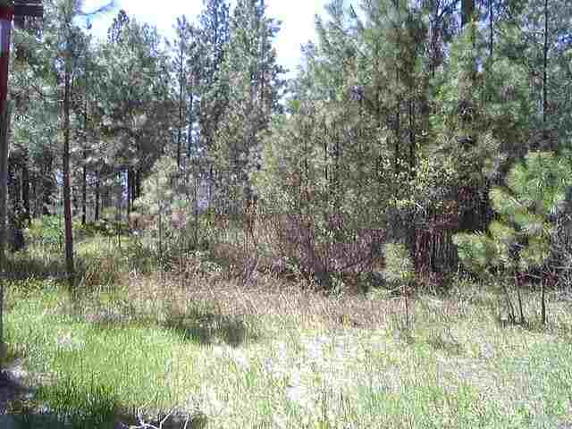 1901 Beeman Lane - Photo 9