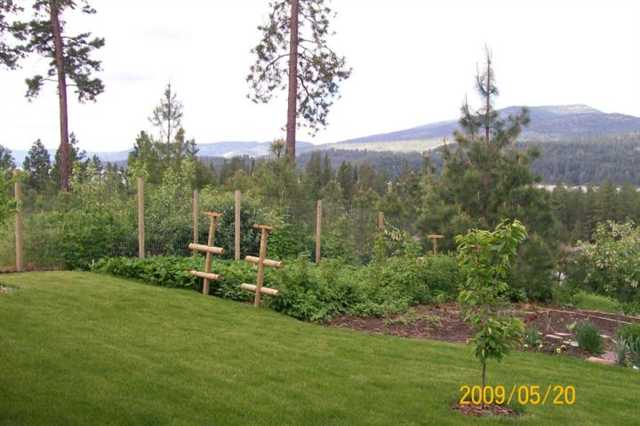 1363 Grandview Way - Photo 7