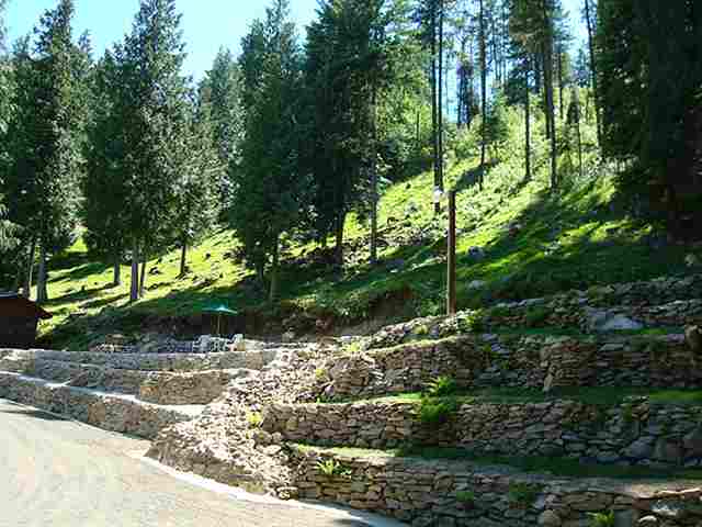 19920  N Mt. Spokane Park Dr - Photo 9