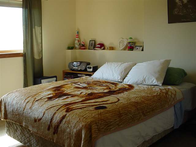 323  N Christensen Rd - Photo 6