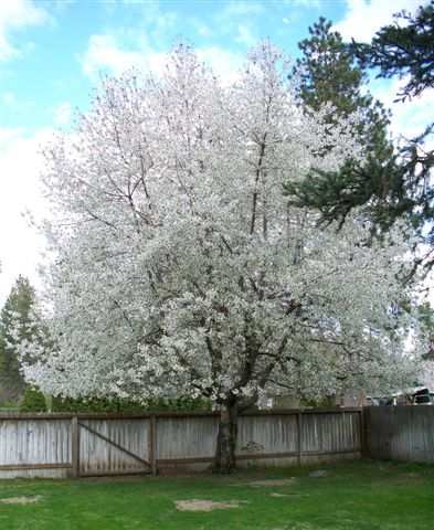 1528  E 37TH Ave - Photo 9