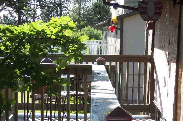 12221  W Sunridge Dr - Photo 9