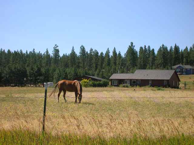 22025  W Jacobs - Photo 9