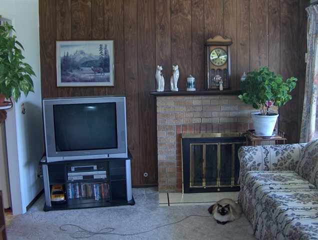 1419  E Bismark Ave - Photo 4