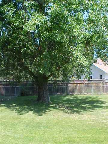 112  W 7th St - Photo 8