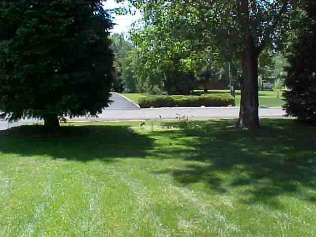 112  W 7th St - Photo 9