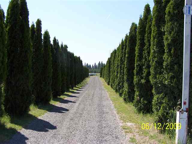 2807  W Sandpiper Rd - Photo 7