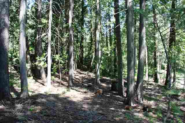 7960 Fertile Valley Rd - Photo 9