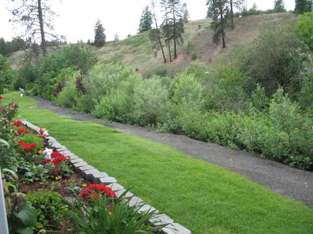 4434  S SUNNY CREEK Cir - Photo 9