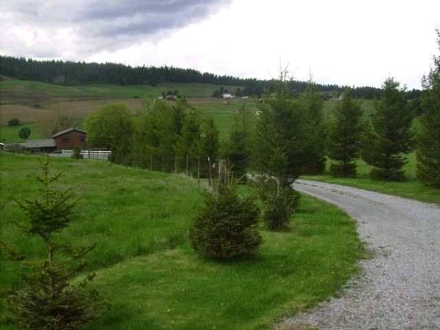 5823  S Chapman Rd - Photo 8