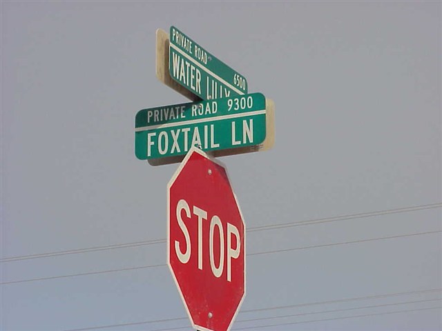9306  W Foxtail Ln - Photo 9