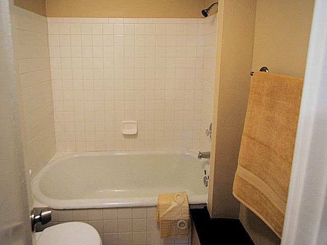 1715  W Kiernan - Photo 8