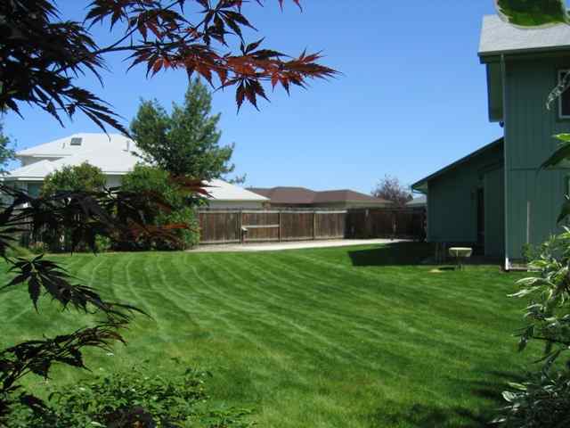 5715  W Dorothy Ct - Photo 3