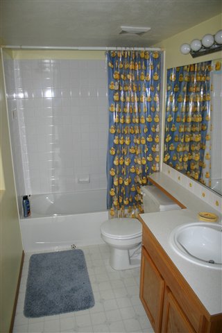 1613  E Calkins Dr - Photo 7
