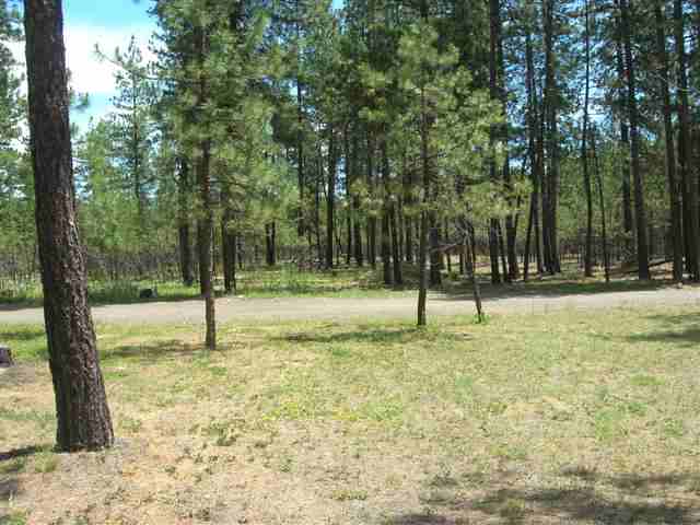 5515  E Chattaroy Rd - Photo 8