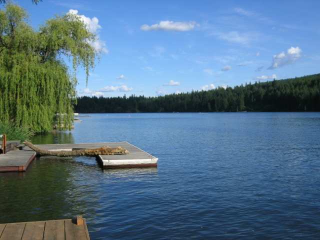 320  E Shore Rd - Photo 8