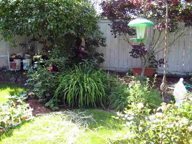 203  W 17th Ave - Photo 7