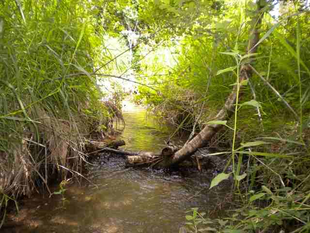 657 WILLIAMS LAKE B Rd - Photo 7