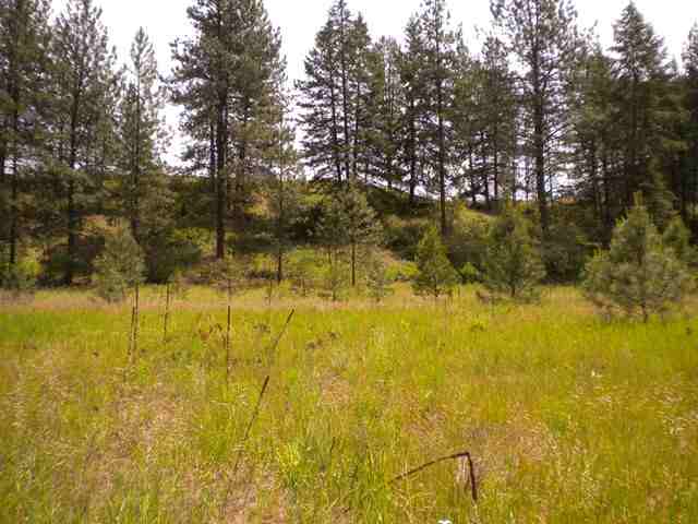 657 WILLIAMS LAKE B Rd - Photo 8