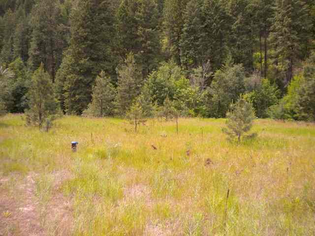 657 WILLIAMS LAKE B Rd - Photo 9