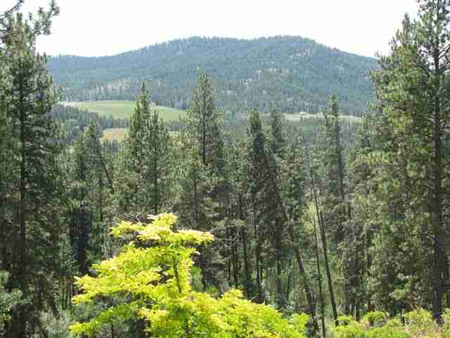 781 Artman Gibson Rd - Photo 6