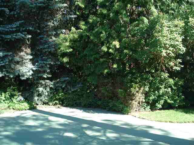 1505  E Rockwood Blvd - Photo 8