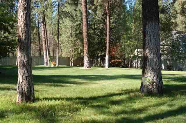 13511  N SHADY SLOPE Rd - Photo 8