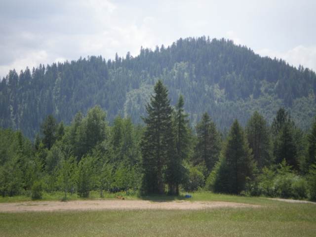4758 Price Rd - Photo 9