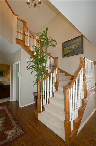 1004  E Windemere Ct - Photo 3