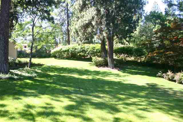 2514  S Sonora Dr - Photo 8