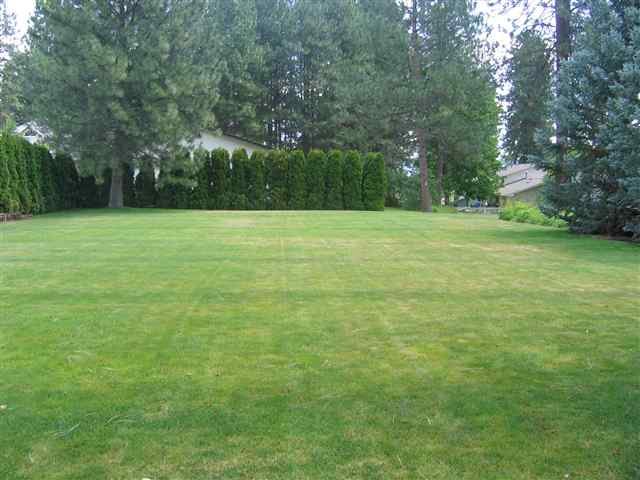 4713  E LANE PARK - Photo 8