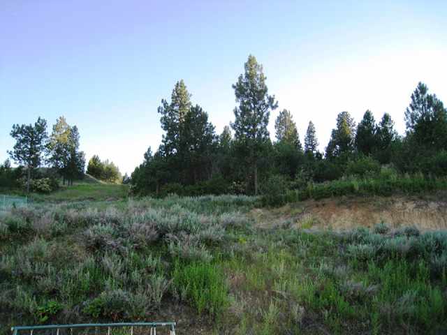 18110  E Crescent Dr - Photo 9