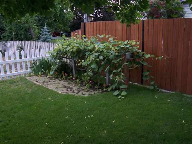 2724  N Willow Rd - Photo 6