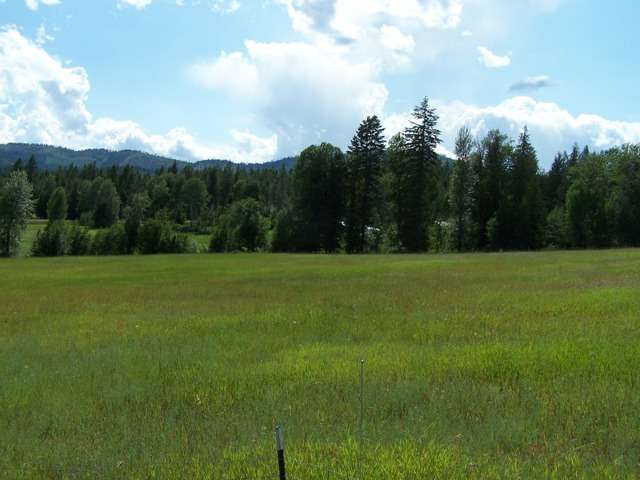 1320 D South Basin Rd - Photo 9