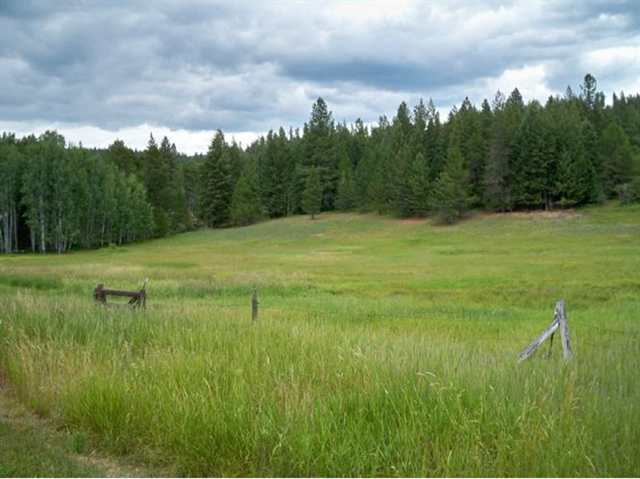 22810  N Day Mount Spokane Rd - Photo 8