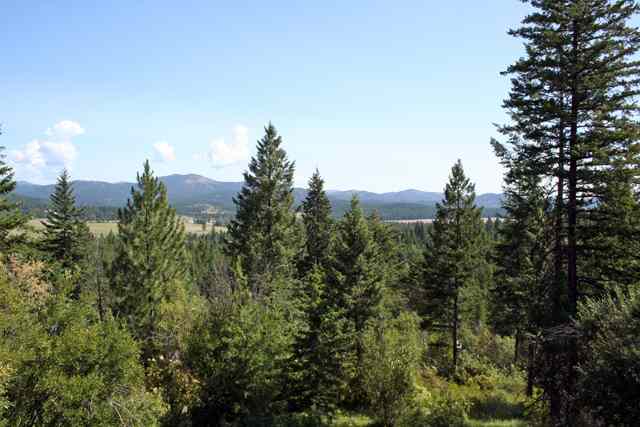 4711 Cougar Mountain Way - Photo 9
