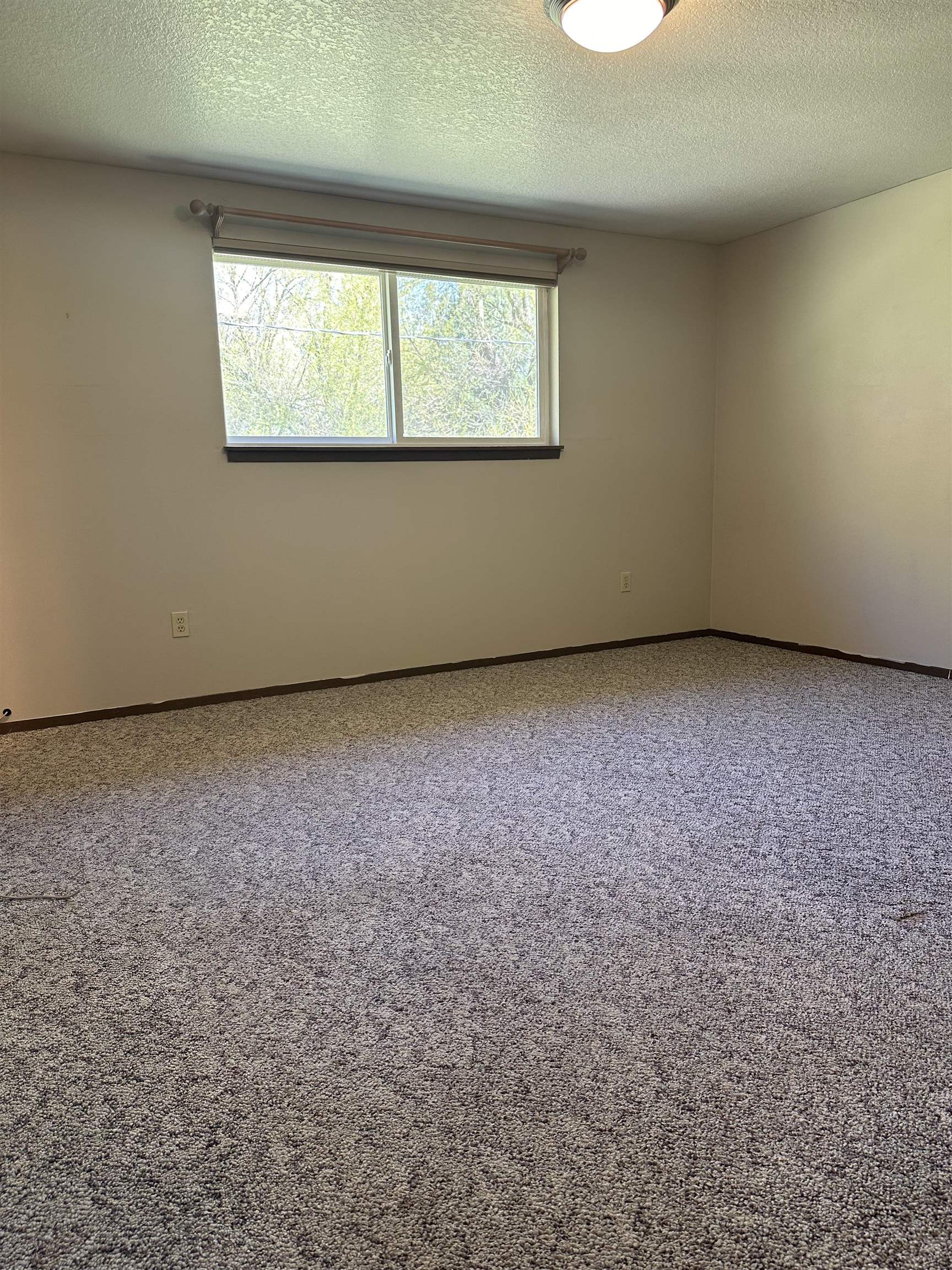 1001 W Walnut St - Photo 12