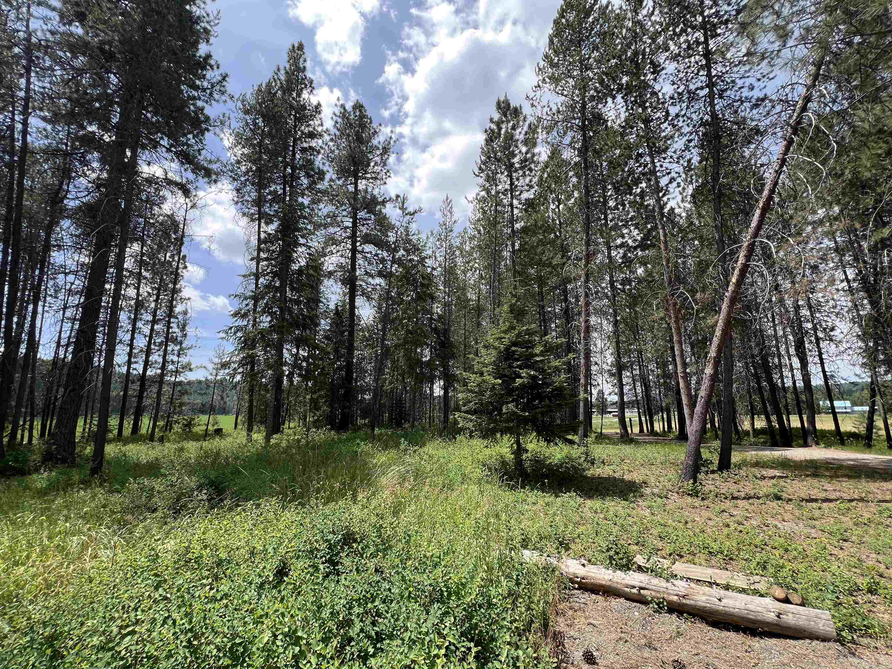 4430 D Springdale Hunters Rd - Photo 26