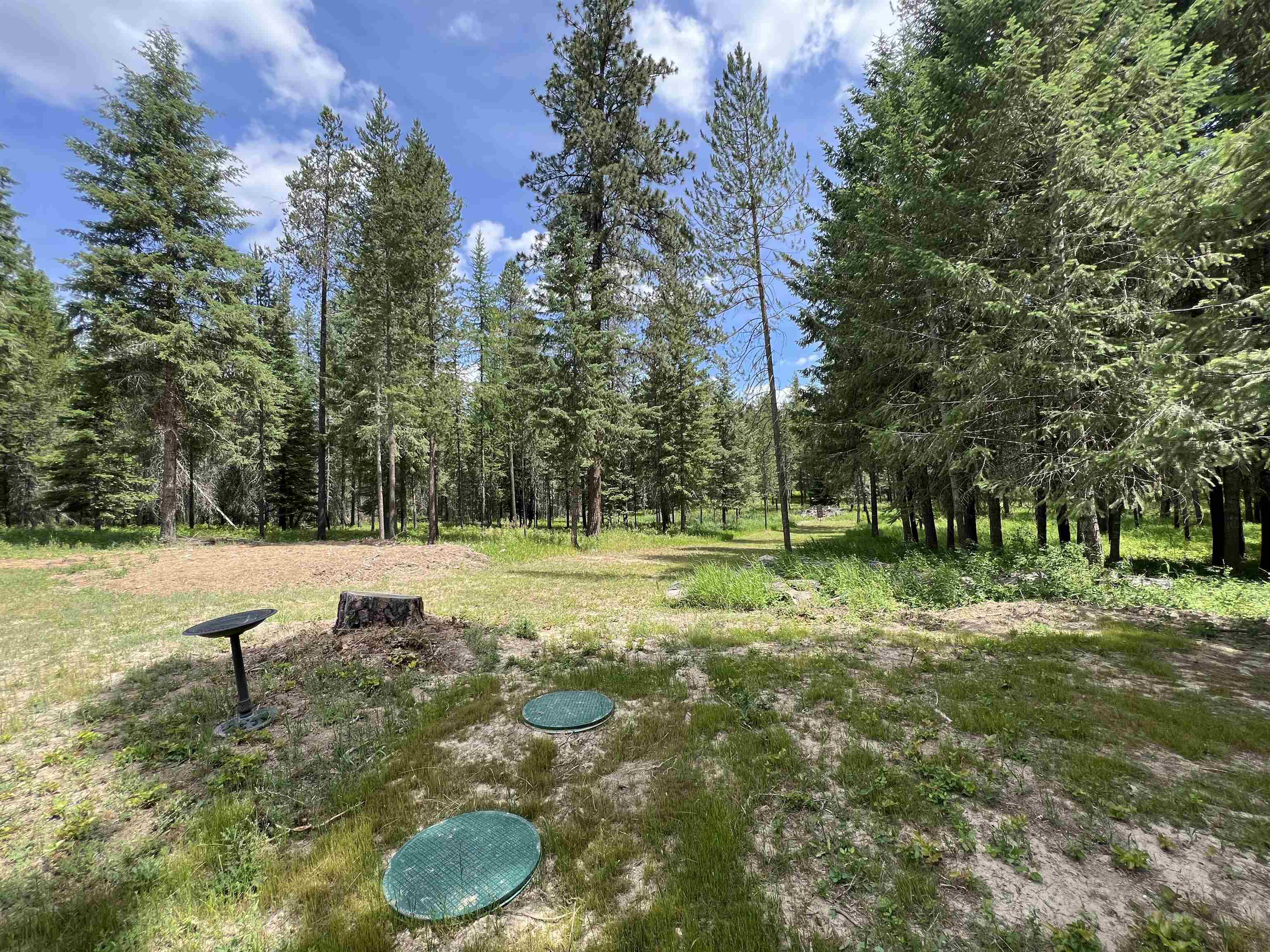 4430 D Springdale Hunters Rd - Photo 25