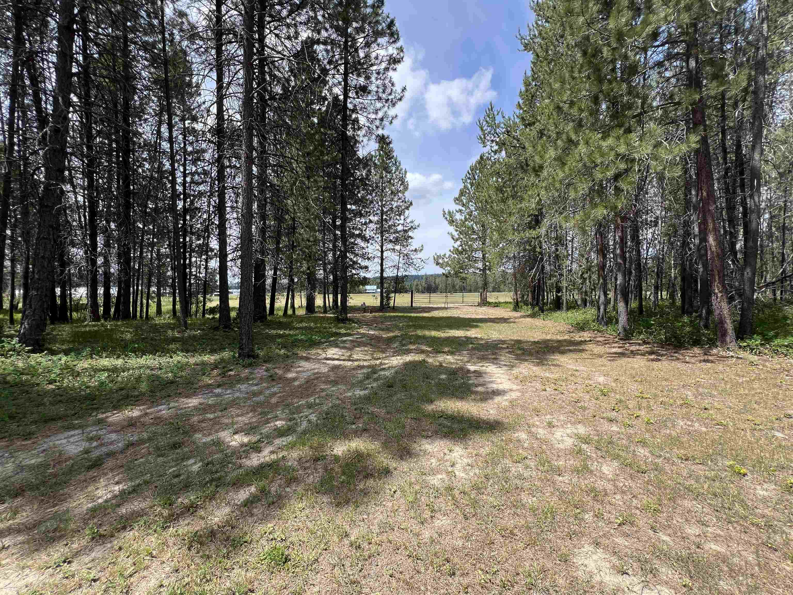 4430 D Springdale Hunters Rd - Photo 30