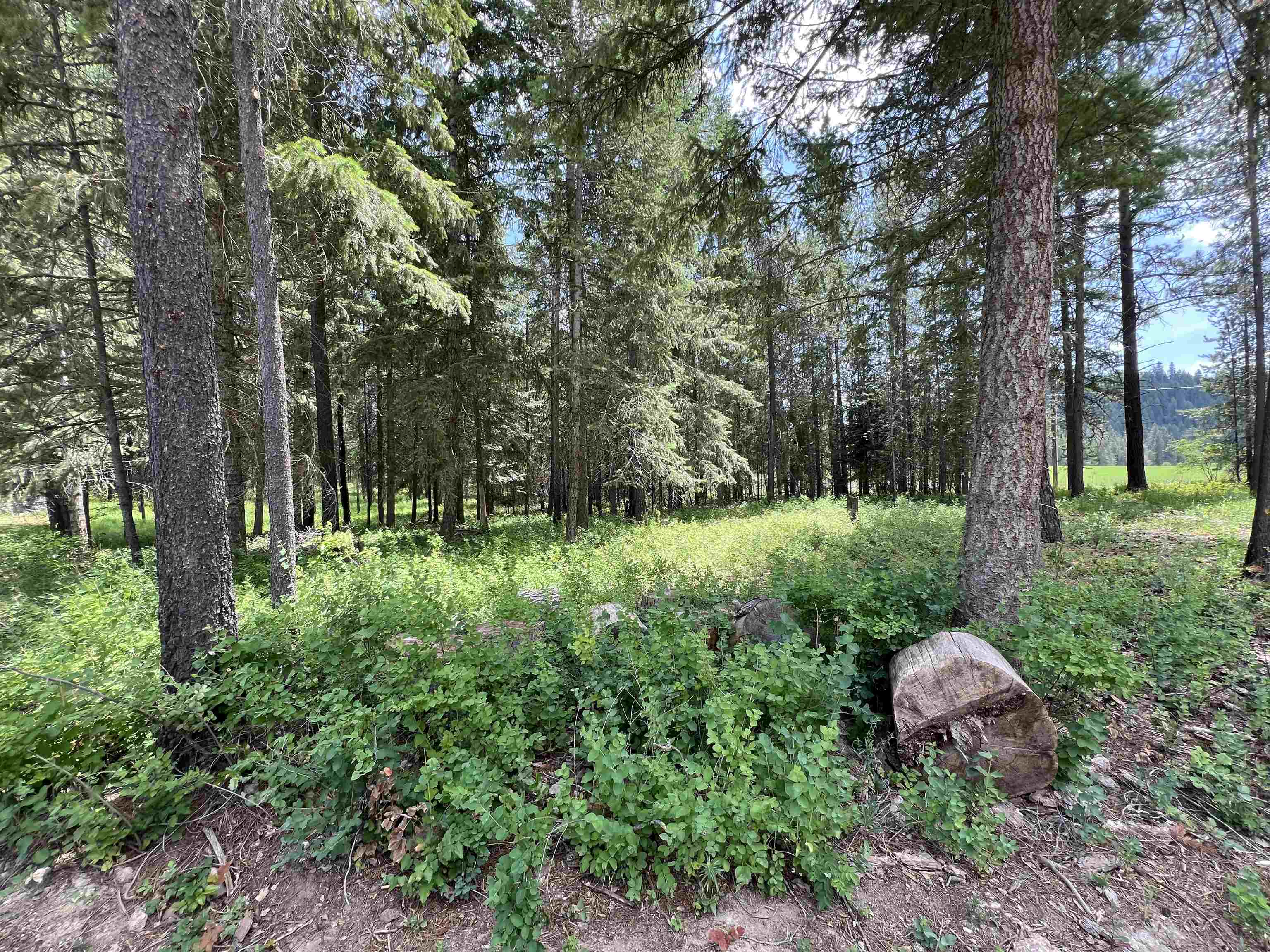 4430 D Springdale Hunters Rd - Photo 31