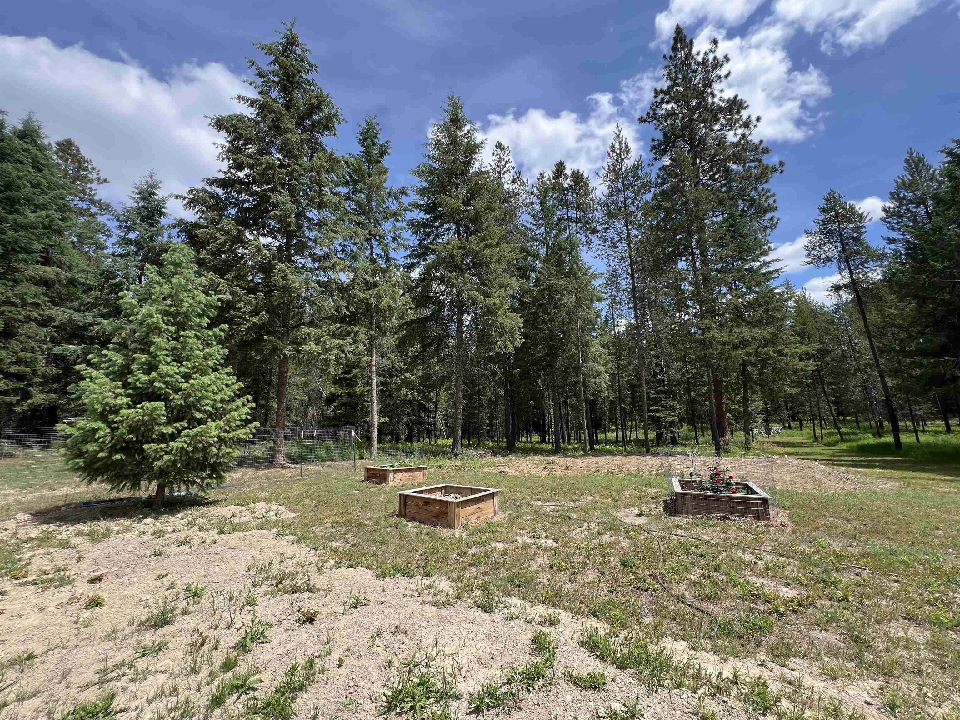 4430 D Springdale Hunters Rd - Photo 34