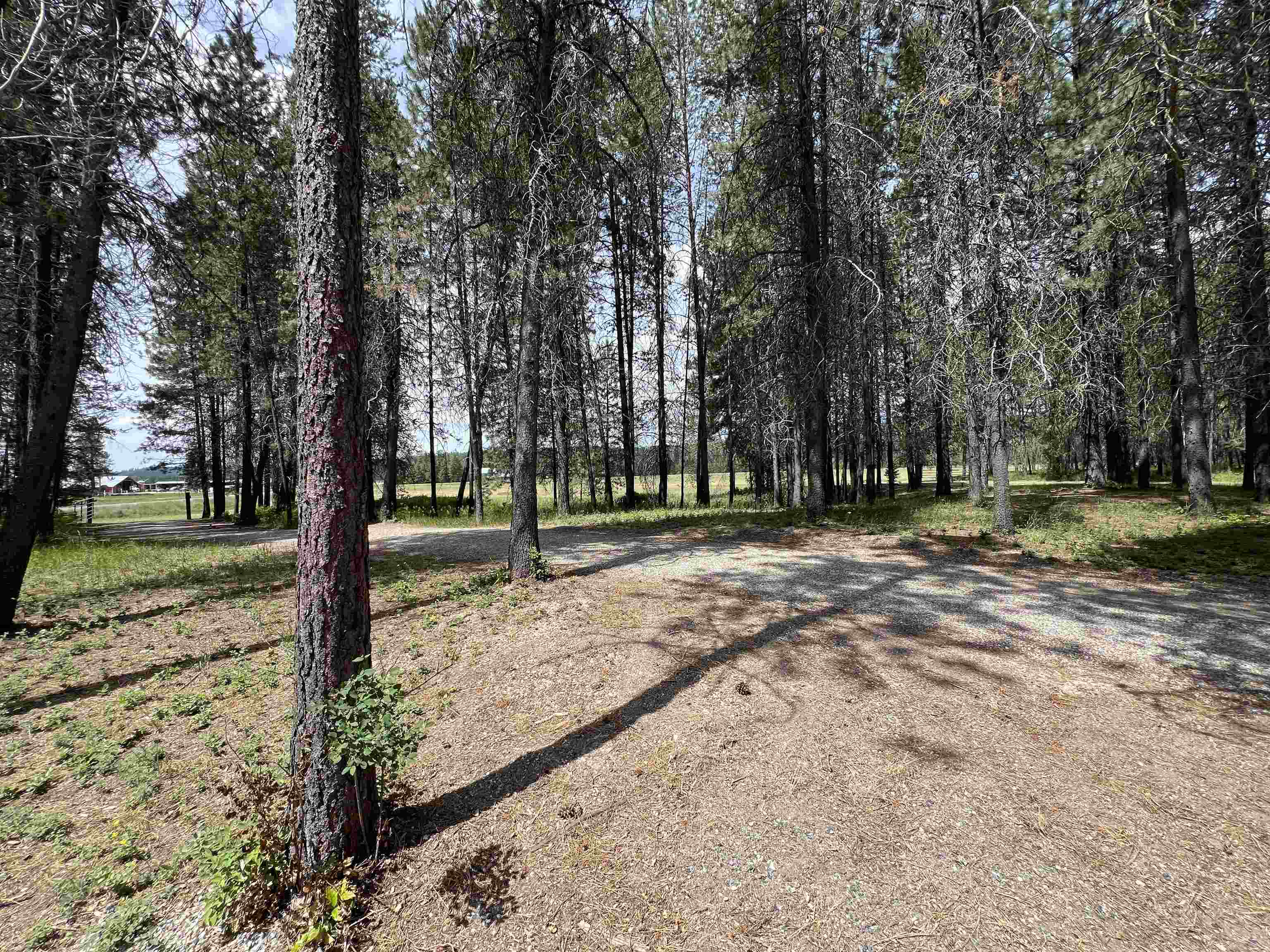 4430 D Springdale Hunters Rd - Photo 29