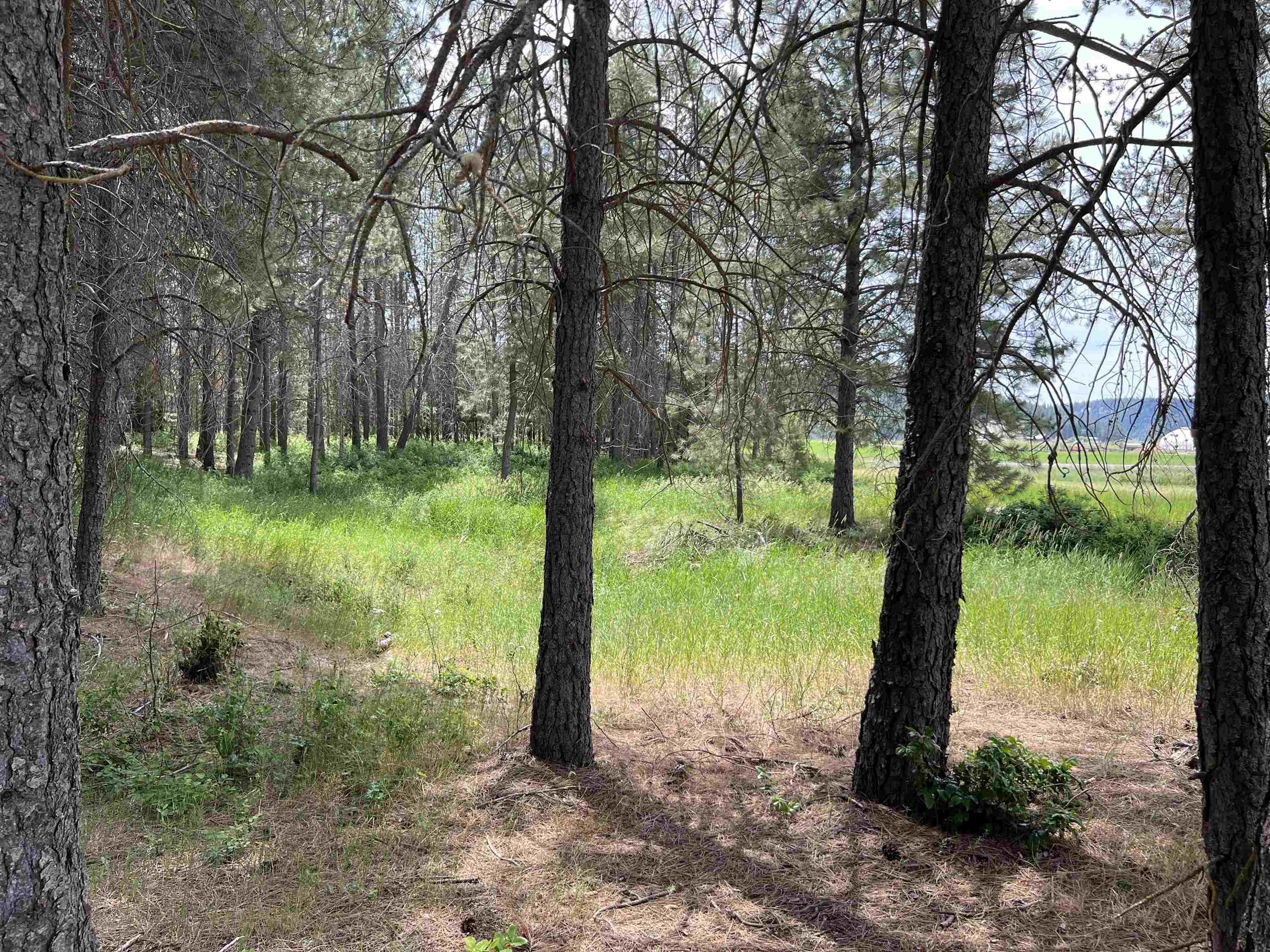 4430 D Springdale Hunters Rd - Photo 28