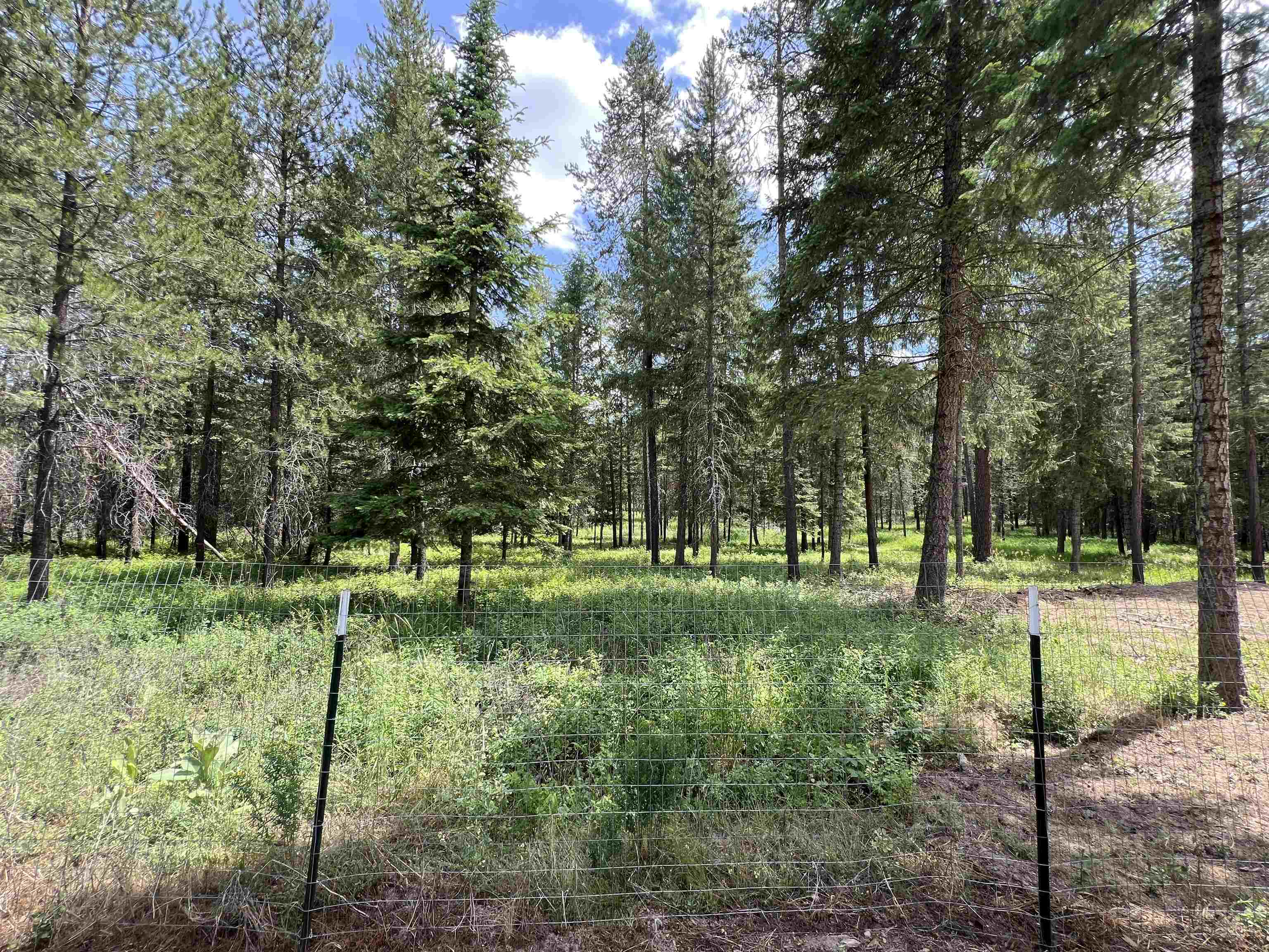4430 D Springdale Hunters Rd - Photo 36