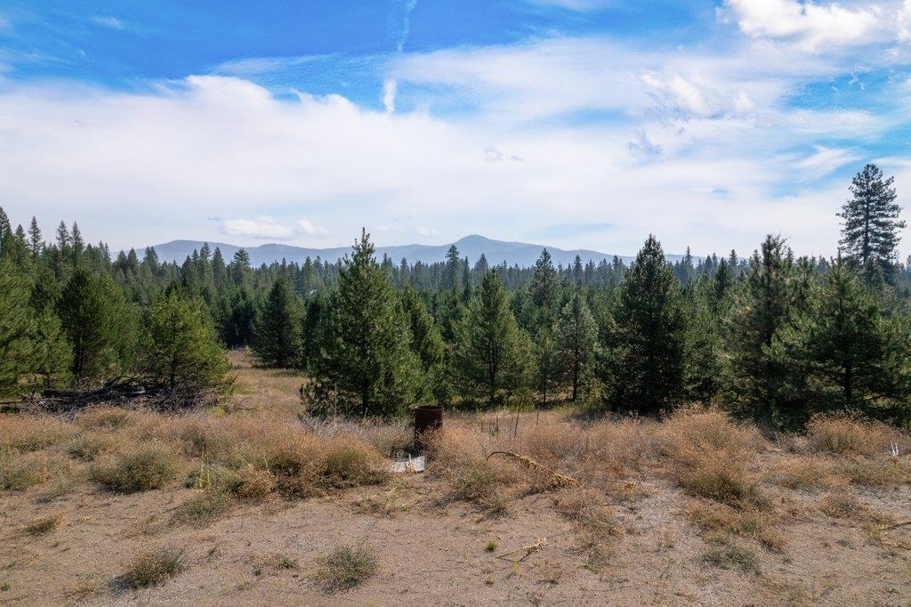 3692 Spring Valley Rd - Photo 21