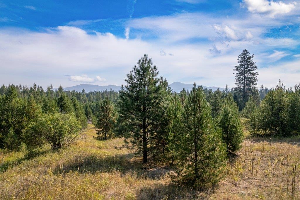 3692 Spring Valley Rd - Photo 22
