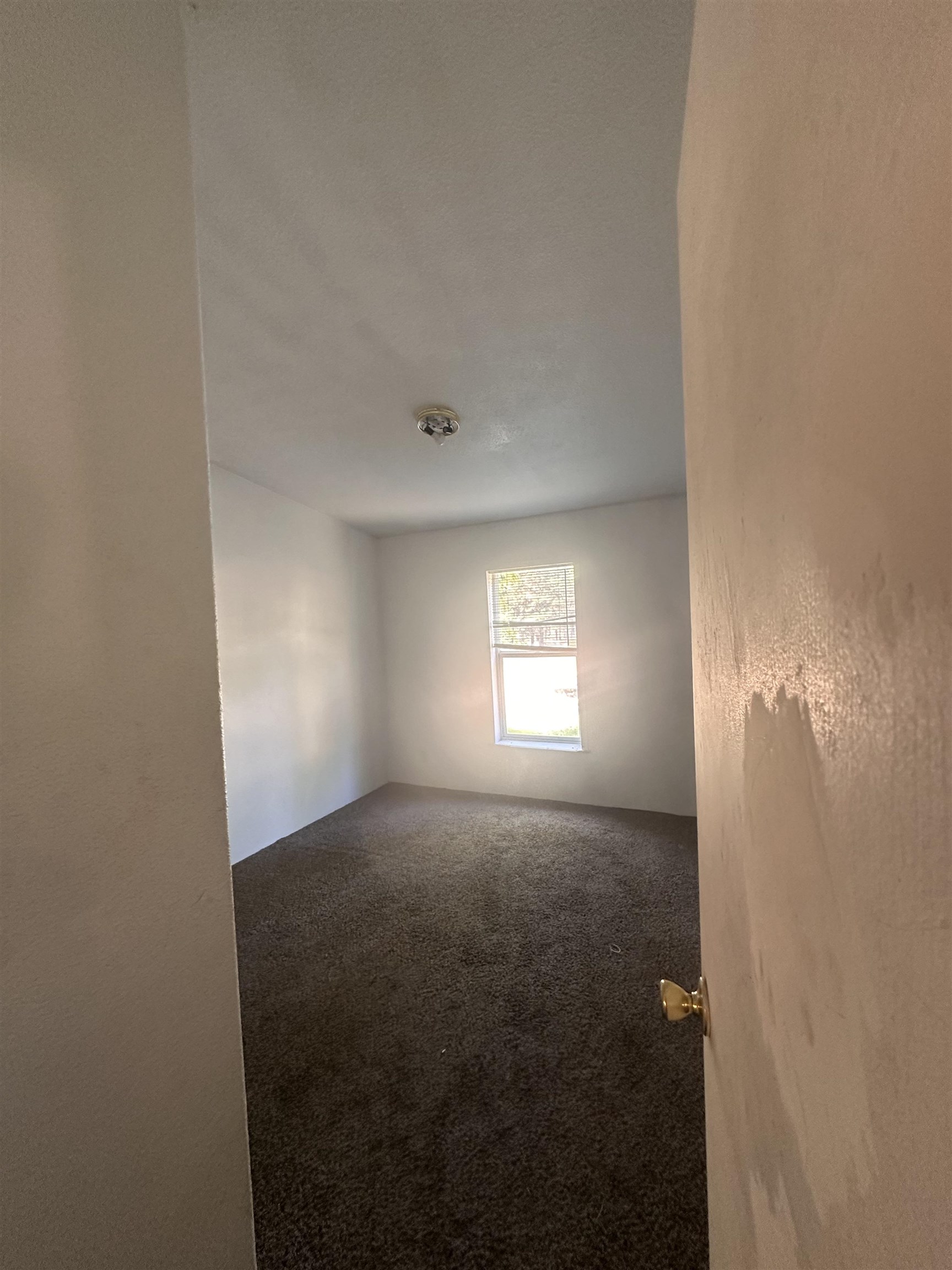 6442 Pascal Loop Rd - Photo 6