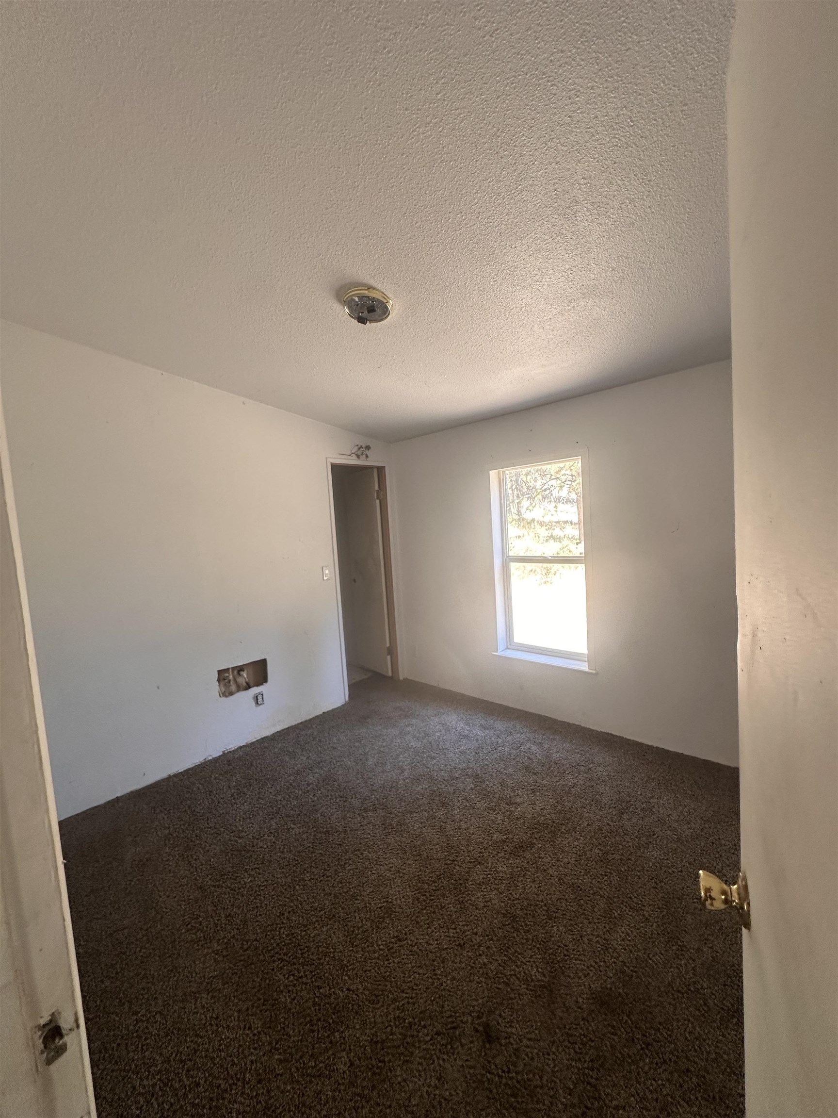 6442 Pascal Loop Rd - Photo 7